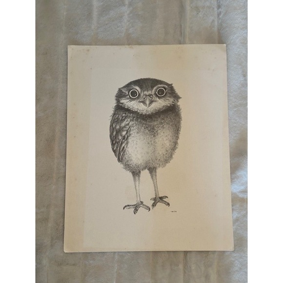 Other - Vintage Owl Chick Sketch Print by Smith Wide Eyed Bird Art Illustration Cream